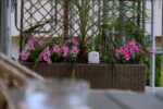 Garden Terrace Suite - Image 7