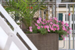 Garden Terrace Suite - Image 4